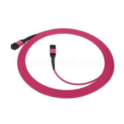 MPO MTP Patchcord Multimode OM4 Trunk Cable 24F Fibra ottica per data center AI Telecom Cabling
