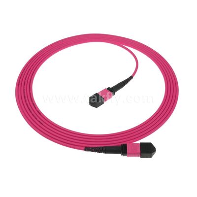 MPO MTP Patchcord Multimode OM4 Trunk Cable 24F Fibra ottica per data center AI Telecom Cabling