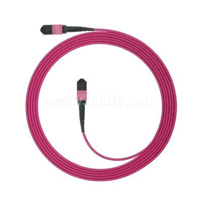 MPO MTP Patchcord Multimode OM4 Trunk Cable 12F Fibra ottica per data center AI Telecom Cabling