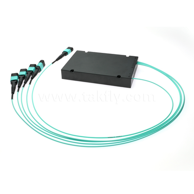 MPO/MTP Fanout Cable PLC Splitter 1x4 SM/MM Fibra ottica per data center FTTX