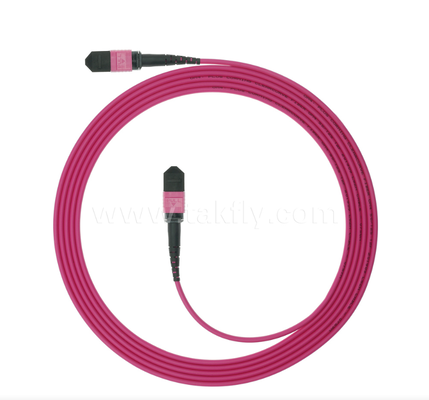 MPO/MTP OM4 Patch Cord ¢ Connettività multimode ad alta densità per data center di nuova generazione