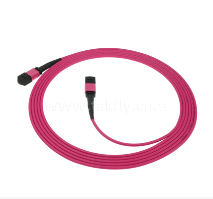 MPO/MTP OM4 Patch Cord ¢ Connettività multimode ad alta densità per data center di nuova generazione