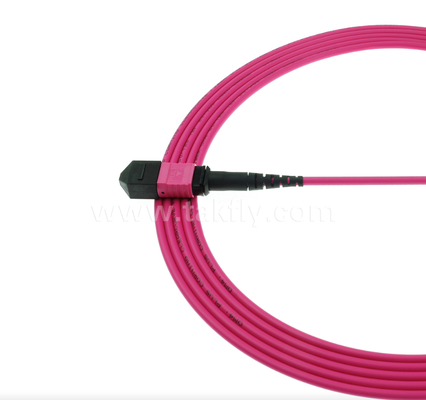 MPO/MTP OM4 Patch Cord ¢ Connettività multimode ad alta densità per data center di nuova generazione