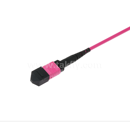 MPO/MTP OM4 Patch Cord ¢ Connettività multimode ad alta densità per data center di nuova generazione