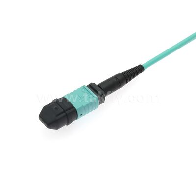 Cavo in Fibra Ottica Patchcord Breakout MPO/MTP-LC per Cablaggio AI Data Center FTTx