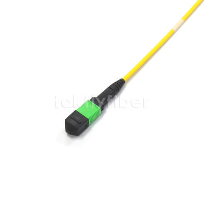 Cavo Trunk MPO Amphenol Personalizzato da 288 Fibre Singlemode OS2 con Perdita di Inserzione Massima di 0.35dB per Data Center
