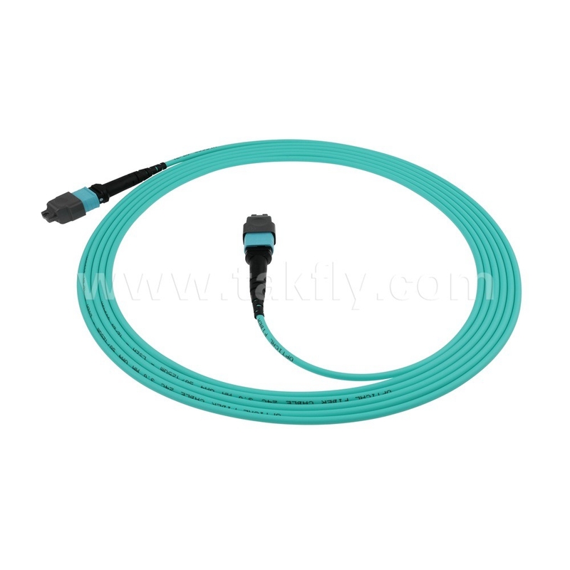 16 Core SM MM MPO MTP Cavo Jumper in fibra ottica per data center FTTX personalizzabile