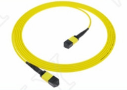 MTP-12 APC Femminile a MTP-12 APC Femminile SingleMode OS2 Plenum OFNP Tipo A MPO Patch Cord 5m 16ft