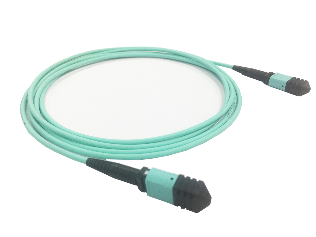 Elite Multimode OM3 50/125, Plenum OFNP Tipo B MPO Patch Cord 3m 10ft MTP-12 PC Femminile a MTP-12 PC Femminile