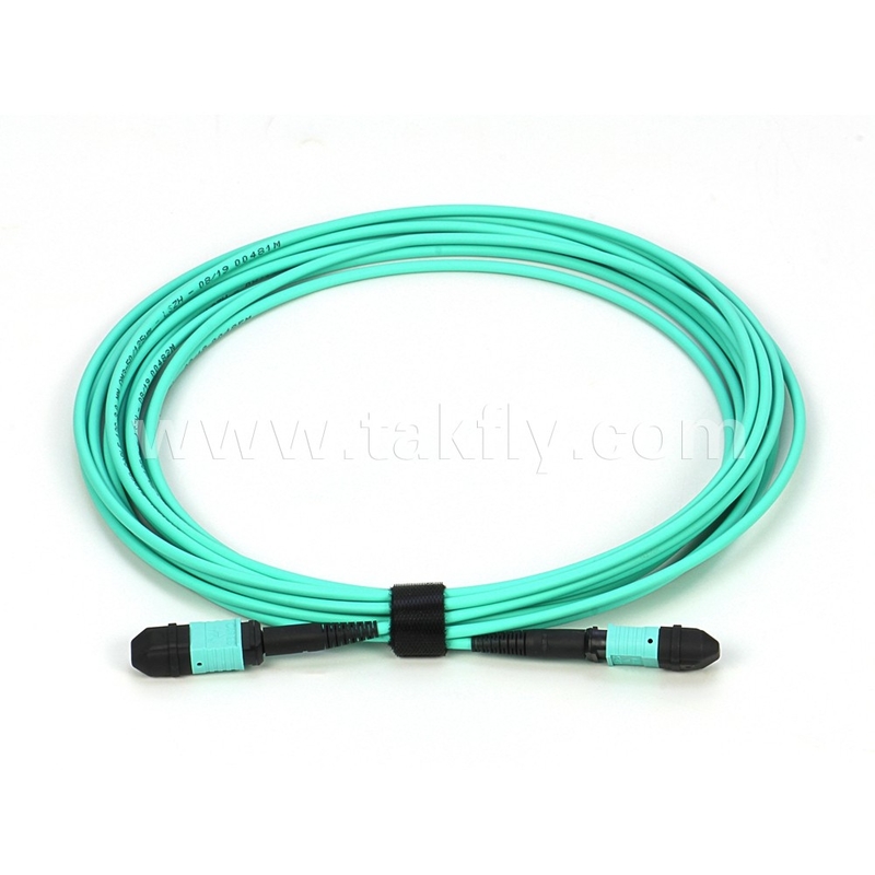 Elite Multimode OM3 50/125 Plenum OFNP Tipo B MPO Patch Cord 30m 100ft MTP-12 PC Femminile a MTP-12 PC Femminile