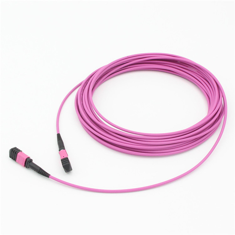 Elite Multimode OM4 50/125, Plenum OFNP Tipo B MPO patch cord 1m 3ft MTP-12 PC Femminile a MTP-12 PC Femminile
