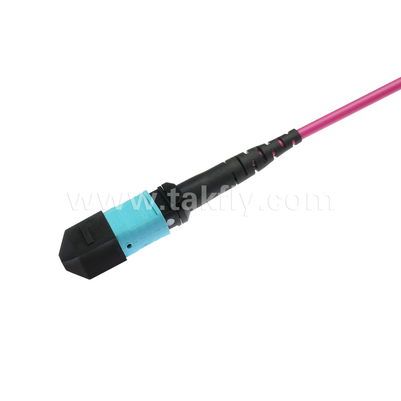 Elite Multimode OM4 50/125, Plenum OFNP Tipo B MPO patch cord 3m 10ft MTP-12 PC Femmina a MTP-12 PC Femmina