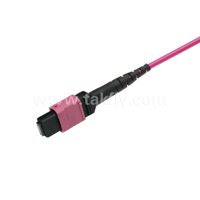 Elite Multimode OM4 50/125 Plenum OFNP Tipo B MPO Patch Cord 3.0mm Cable 10m 33ft MTP-12 PC Femminile a MTP-12 PC Femminile