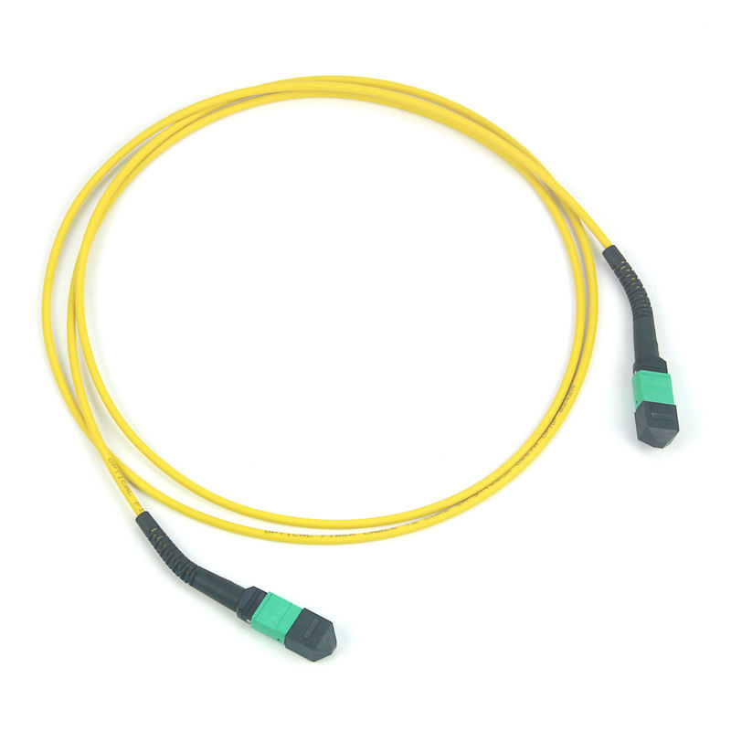 12/24/48/96/144 Core MPO/MTP Trunk Cable con modalità fibra 50/125um e PVC/LSZH Outer Sheath Fiber Optic Patchcord