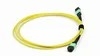 Cavo patch in fibra MPO-MPO per data center da 8-24 fibre