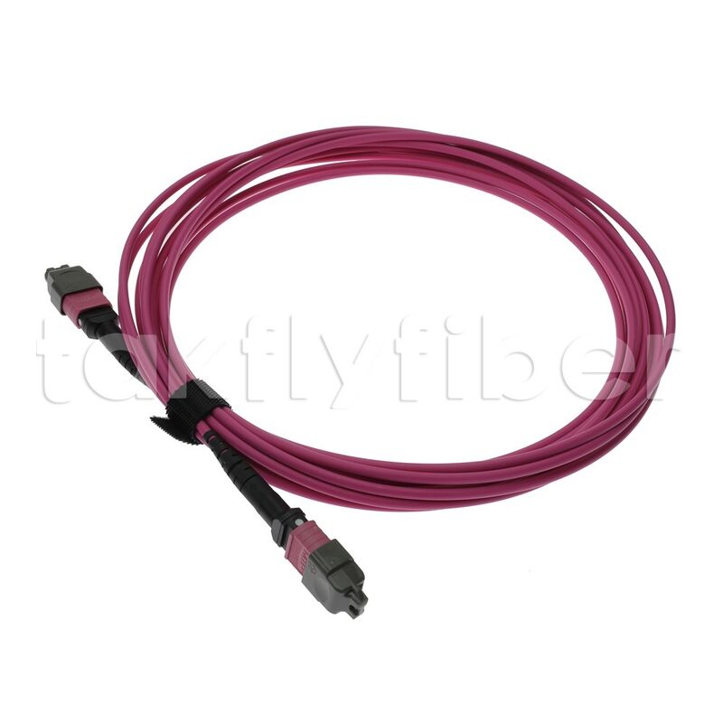 CPR B2ca MTP® 12 Cores MPO Trunk Cable, F to F, UPC, 12F, OM4, OFNP, 0.20dB, Type B