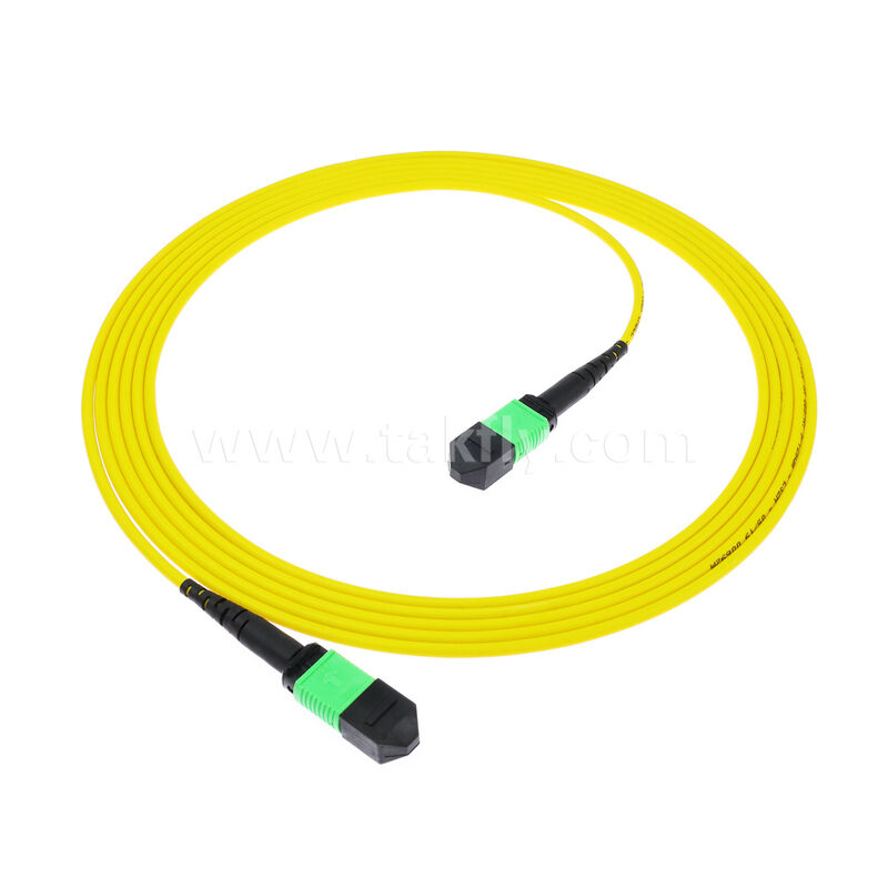 8F 12F 16F 24F MPO MTP Maschio Femmina SM OS2 G652D G657A1 G657A2 Cavo Patchcord in Fibra Ottica / Cavo Patch Ottico / Cavo Breakout Ottico / Cavo Trunk in Fibra Ottica per Data Center ad Alta Densità