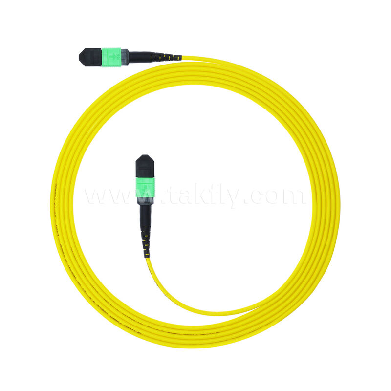 Cavo patchcord MPO MTP Maschio Femmina 8F 12F 16F 24F SM OS2 G652D G657A1 G657A2 / Cavo patch ottico in fibra / Cavo breakout ottico / Cavo trunk in fibra ottica
