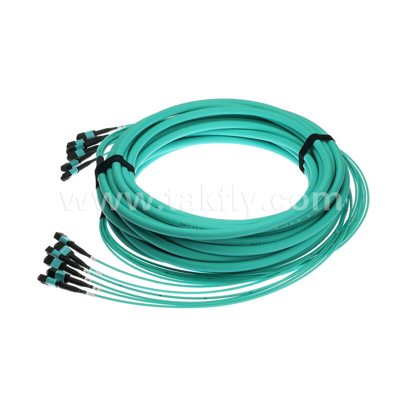 72 fibre 6x12F MPO MTP - 6x12F MPO MTP Maschio Femmina MM Multimode OM3 OM4 Patchcord in fibra ottica / Cavo patch in fibra ottica / Cavo breakout ottico / Cavo trunk in fibra ottica / Cavo fanout in fibra ottica