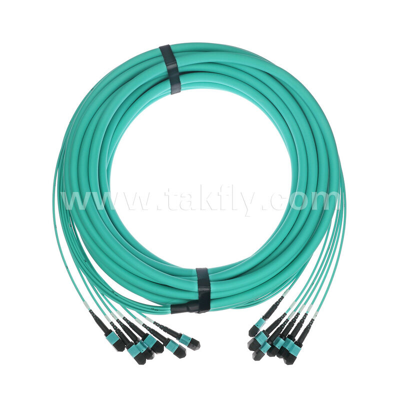 OM3 OM4 Multimode 72 fibre 6x12F MPO MTP- 6x12F MPO MTP Maschio Femmina Fibra Ottica Patchcord / Fibra Ottica Patch Cable / Fibra Ottica Breakout Cable / Fibra Ottica Fibra Trunk Cable / Fibra Ottica Fanout Cable