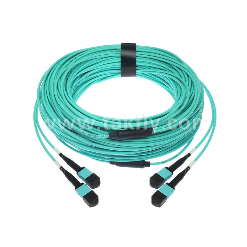 OM3 OM4 Multimode 24 fibre 2x12F MPO MTP- 2x12F MPO MTP Maschio Femmina Fibra Ottica Patchcord / Fibra Ottica Patch Cable / Fibra Ottica Breakout Cable / Fibra Ottica Fibra Trunk Cable / Fibra Ottica Fanout Cable