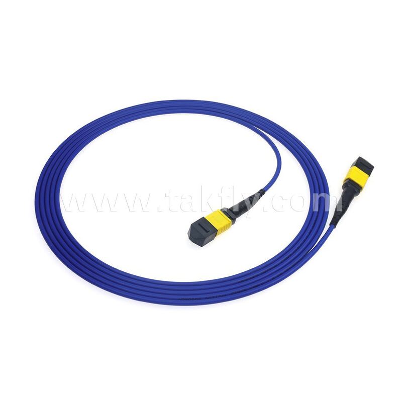 Armatura Armatura 8F 12F 16F 24F MPO MTP Maschio Femmina Fibra Ottica Cavo di rottura Fibra Ottica Patchcord/Fibra Ottica Patch Cable/Fibra Ottica Cavo tronco/Fibra Ottica Fanout Cable