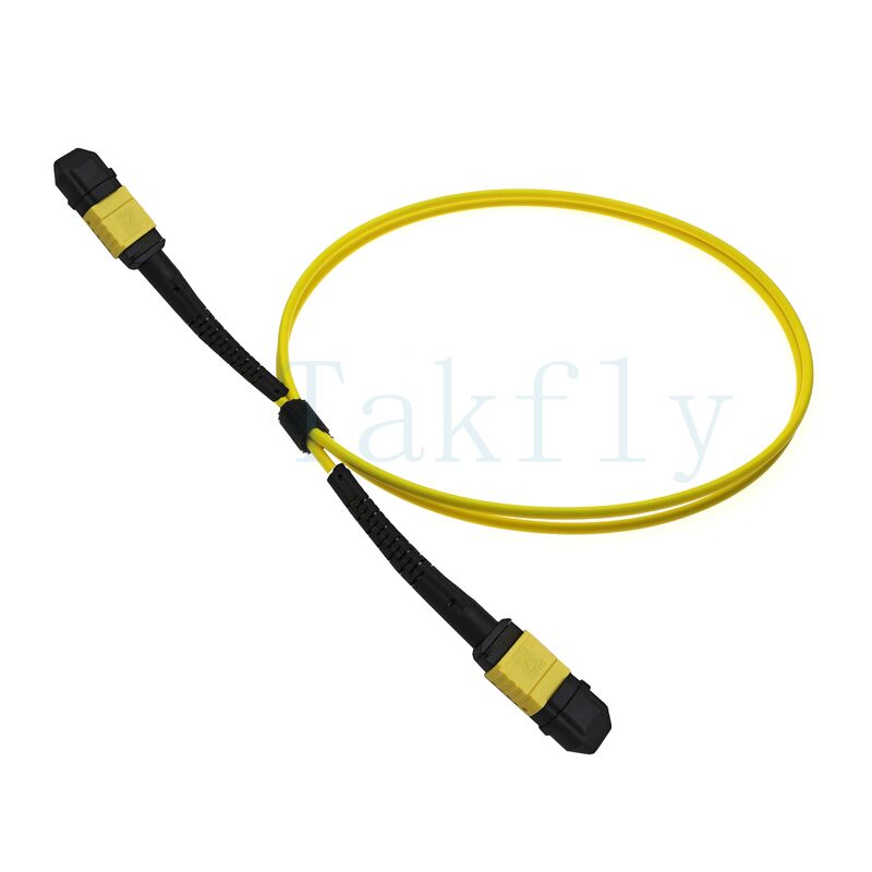 12 core MPO APC Fanout Patch Cord
