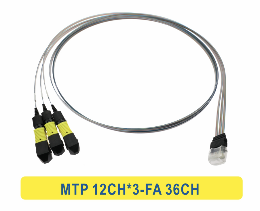 3*12F MTP a 36CH FA Fiber Array Fiber Optic Patchcord Cable