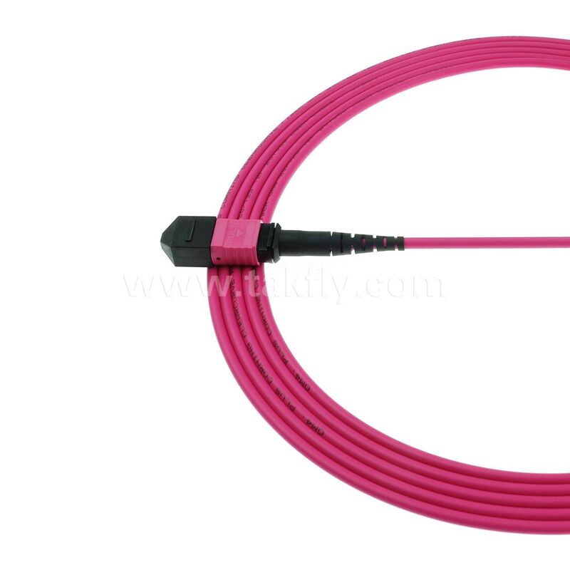 MPO MTP Patchcord Multimode OM4 Trunk Cable 24F Fibra ottica per data center AI Telecom Cabling