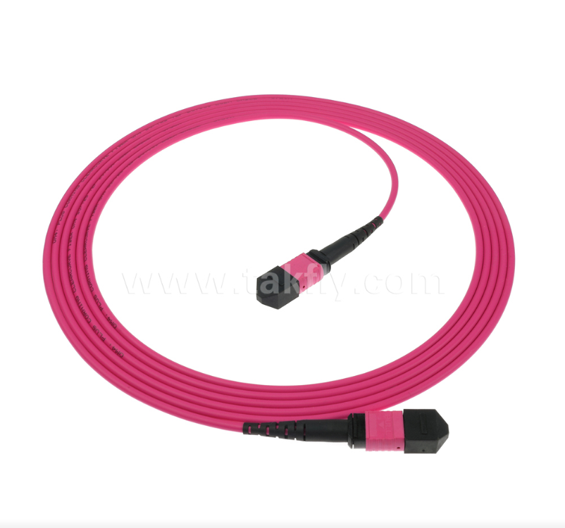 MPO/MTP OM4 Patch Cord ¢ Connettività multimode ad alta densità per data center di nuova generazione