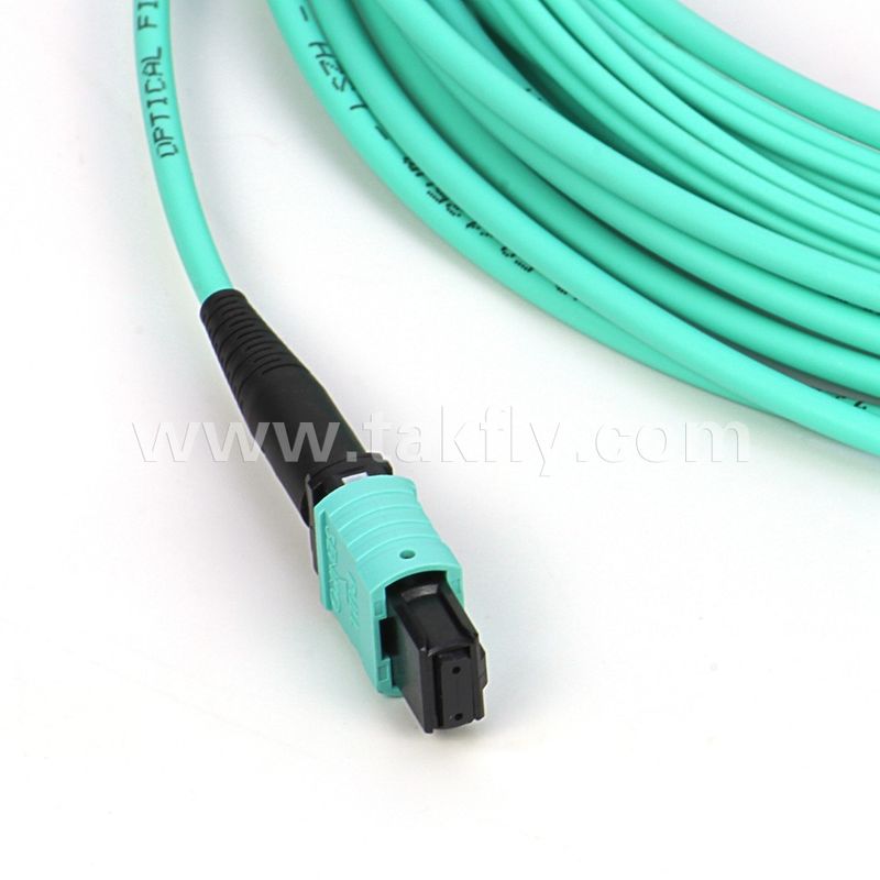 Cavo in fibra ottica multi-modo 12/24 core Mpo Mtp Om3 per applicazioni nel data center