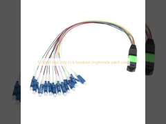12 fibre mpo mtp a lc breakout singlemode patch cord